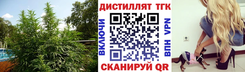наркотики  KRAKEN ссылка  ТГК гашишное масло  Миллерово 
